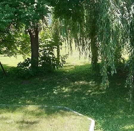 Fuzfa Apartmanhaz Tamási Dış mekan fotoğraf